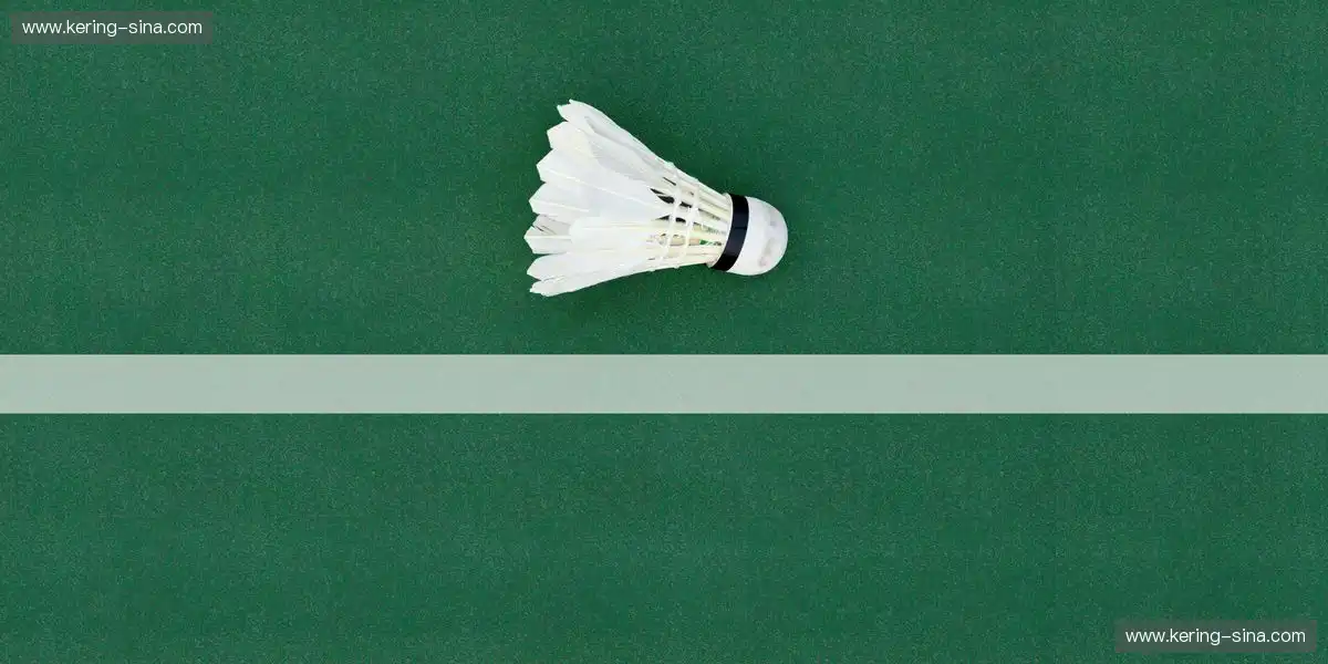 赛场多维信息融合